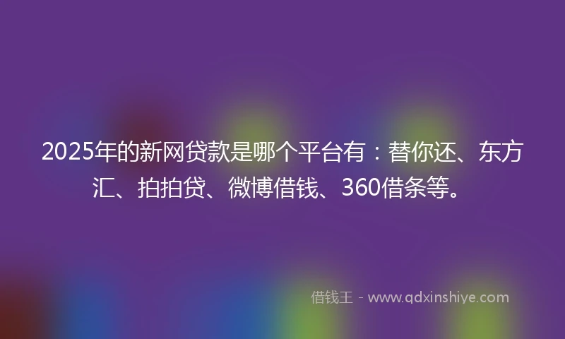 2025年的新网贷款是哪个平台有：替你还、东方汇、拍拍贷、微博借钱、360借条等。