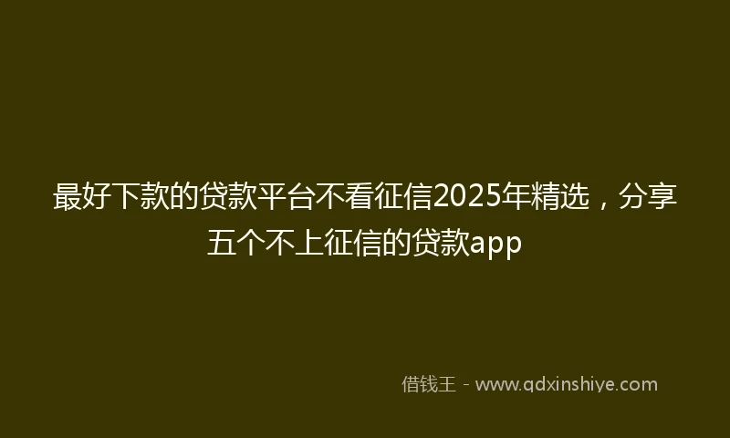最好下款的贷款平台不看征信2025年精选，分享五个不上征信的贷款app