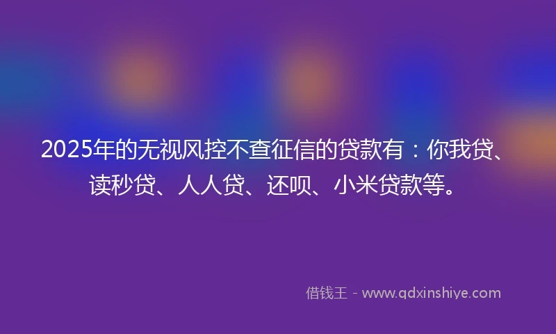 2025年的无视风控不查征信的贷款有：你我贷、读秒贷、人人贷、还呗、小米贷款等。