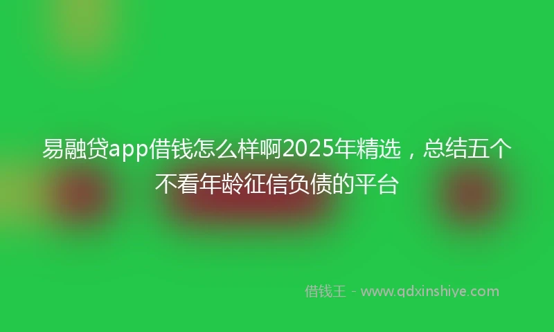 易融贷app借钱怎么样啊2025年精选，总结五个不看年龄征信负债的平台