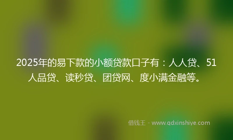 2025年的易下款的小额贷款口子有：人人贷、51人品贷、读秒贷、团贷网、度小满金融等。