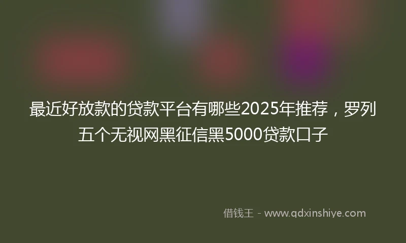 最近好放款的贷款平台有哪些2025年推荐，罗列五个无视网黑征信黑5000贷款口子