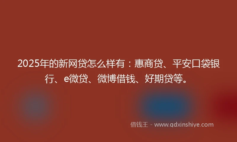2025年的新网贷怎么样有：惠商贷、平安口袋银行、e微贷、微博借钱、好期贷等。