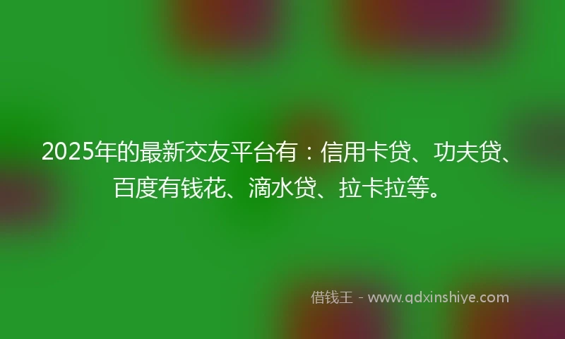 2025年的最新交友平台有：信用卡贷、功夫贷、百度有钱花、滴水贷、拉卡拉等。