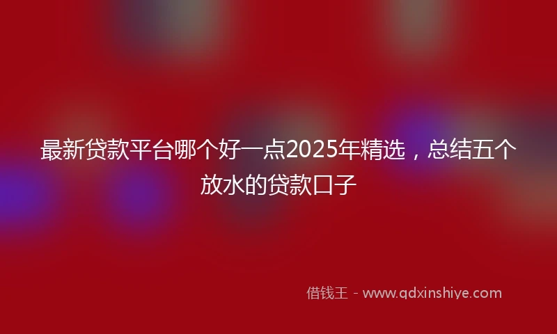 最新贷款平台哪个好一点2025年精选，总结五个放水的贷款口子