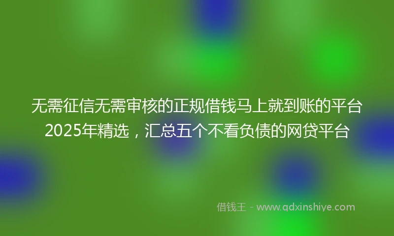 无需征信无需审核的正规借钱马上就到账的平台2025年精选，汇总五个不看负债的网贷平台
