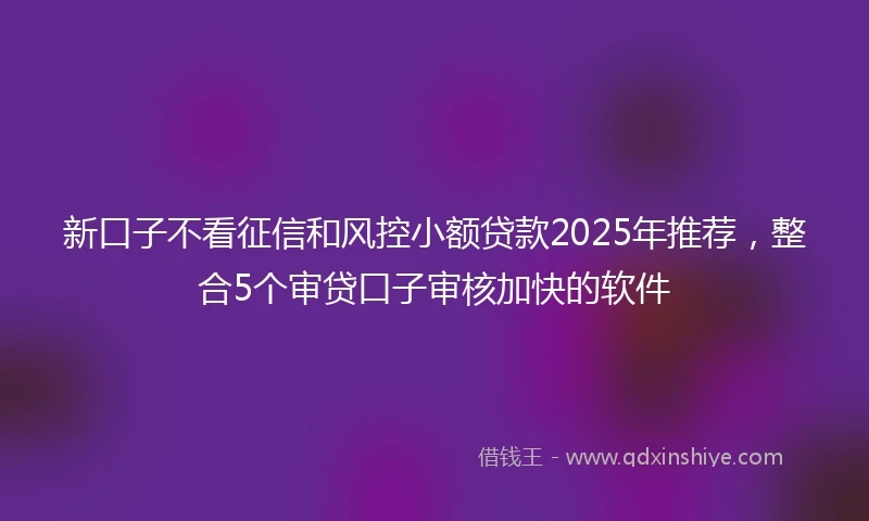 新口子不看征信和风控小额贷款2025年推荐，整合5个审贷口子审核加快的软件
