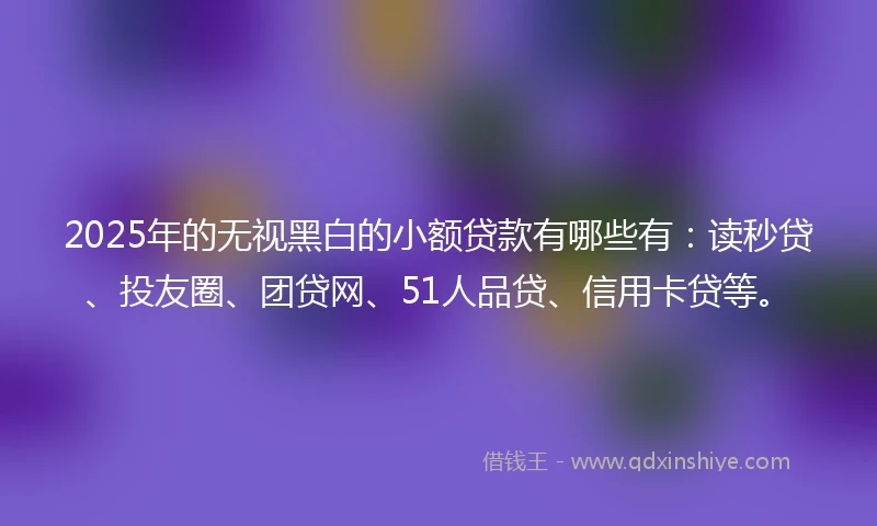2025年的无视黑白的小额贷款有哪些有：读秒贷、投友圈、团贷网、51人品贷、信用卡贷等。