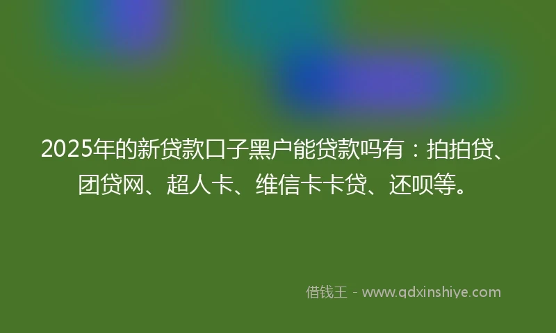 2025年的新贷款口子黑户能贷款吗有：拍拍贷、团贷网、超人卡、维信卡卡贷、还呗等。
