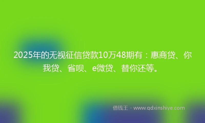 2025年的无视征信贷款10万48期有：惠商贷、你我贷、省呗、e微贷、替你还等。