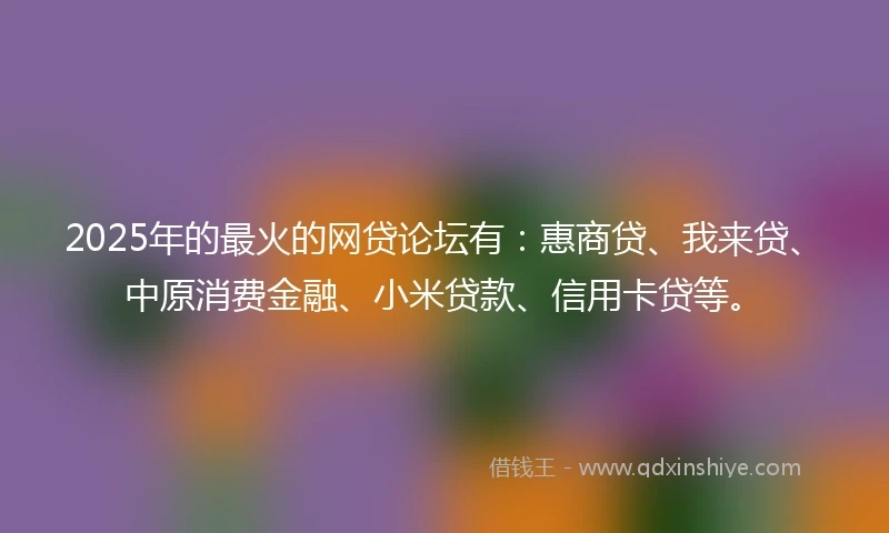 2025年的最火的网贷论坛有：惠商贷、我来贷、中原消费金融、小米贷款、信用卡贷等。