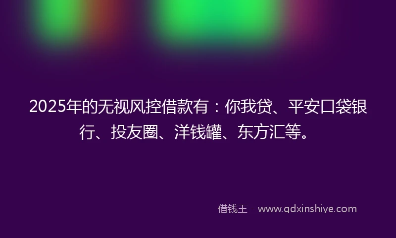 2025年的无视风控借款有：你我贷、平安口袋银行、投友圈、洋钱罐、东方汇等。