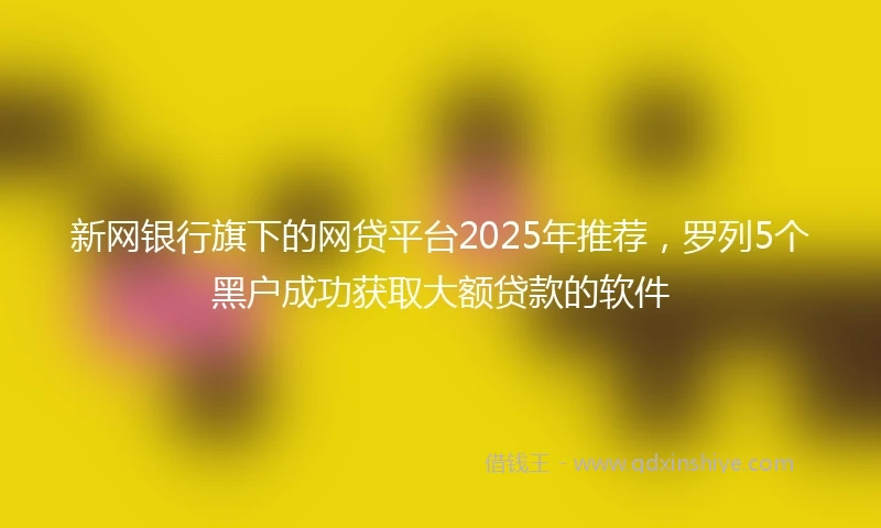 新网银行旗下的网贷平台2025年推荐，罗列5个黑户成功获取大额贷款的软件