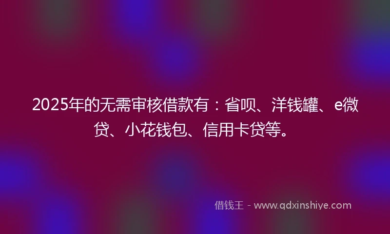 2025年的无需审核借款有：省呗、洋钱罐、e微贷、小花钱包、信用卡贷等。
