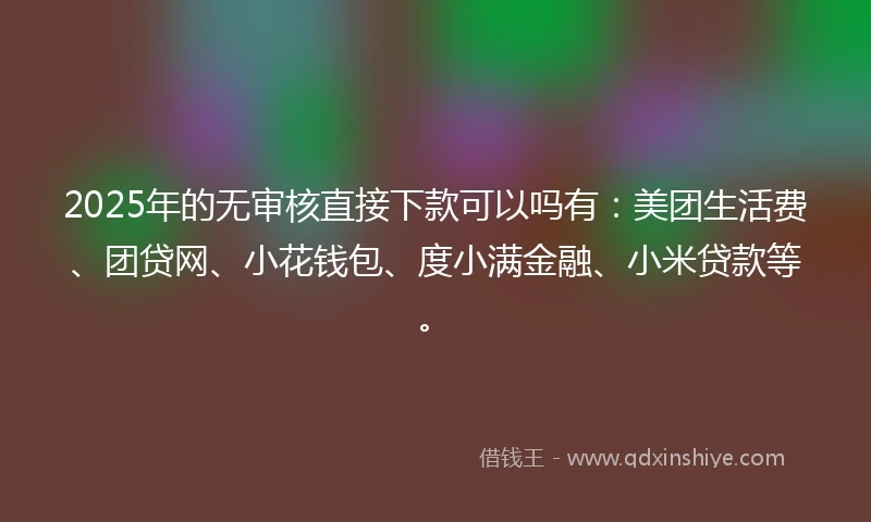 2025年的无审核直接下款可以吗有：美团生活费、团贷网、小花钱包、度小满金融、小米贷款等。