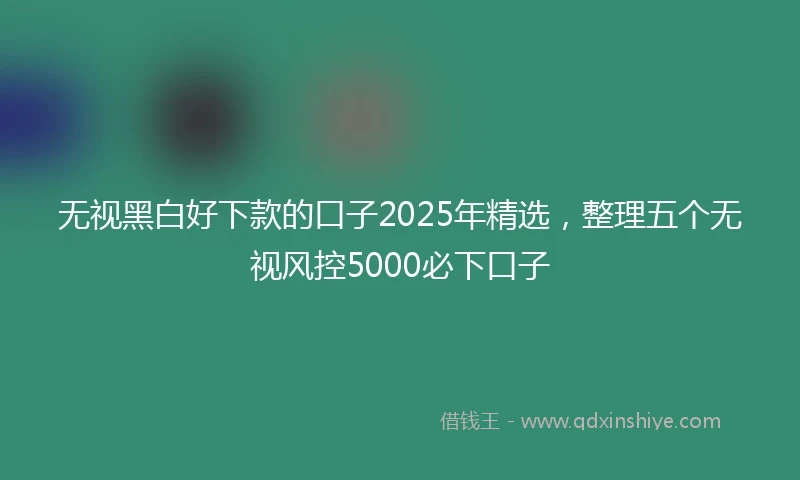 无视黑白好下款的口子2025年精选，整理五个无视风控5000必下口子