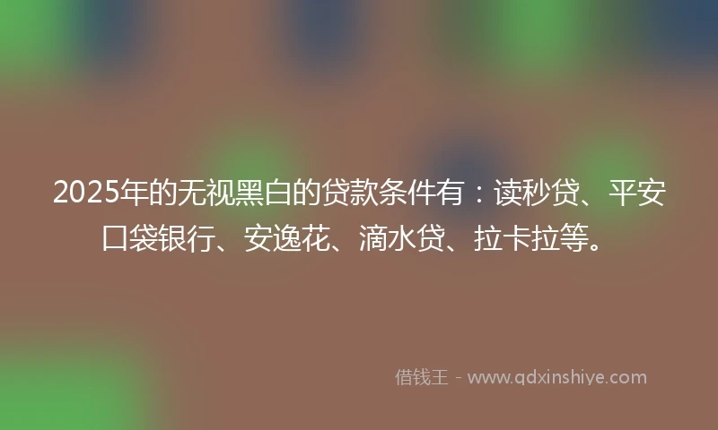 2025年的无视黑白的贷款条件有：读秒贷、平安口袋银行、安逸花、滴水贷、拉卡拉等。
