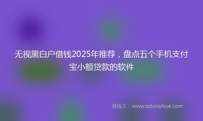无视黑白户借钱2025年推荐，盘点五个手机支付宝小额贷款的软件