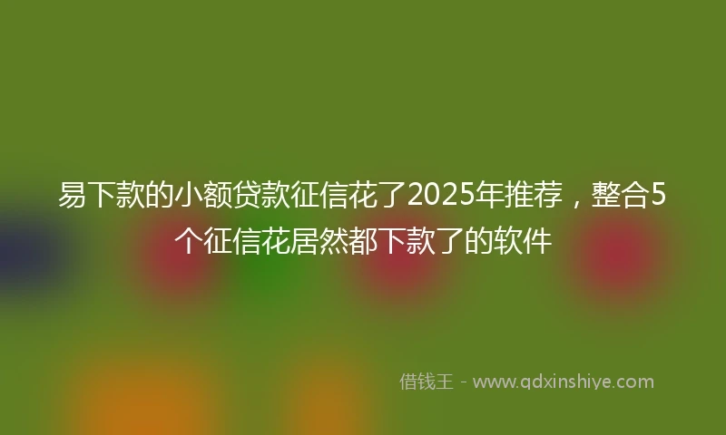 易下款的小额贷款征信花了2025年推荐，整合5个征信花居然都下款了的软件