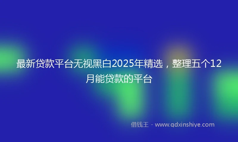 最新贷款平台无视黑白2025年精选，整理五个12月能贷款的平台