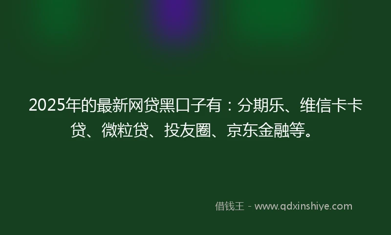 2025年的最新网贷黑口子有：分期乐、维信卡卡贷、微粒贷、投友圈、京东金融等。