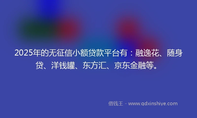 2025年的无征信小额贷款平台有：融逸花、随身贷、洋钱罐、东方汇、京东金融等。