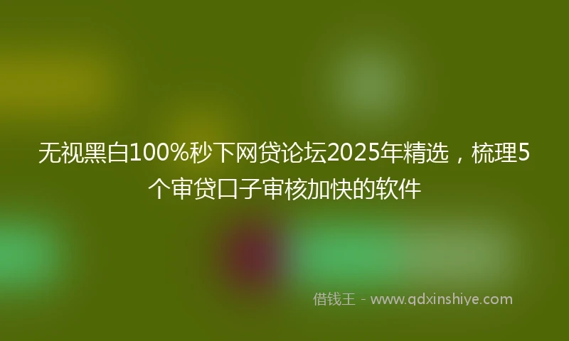 无视黑白100%秒下网贷论坛2025年精选，梳理5个审贷口子审核加快的软件