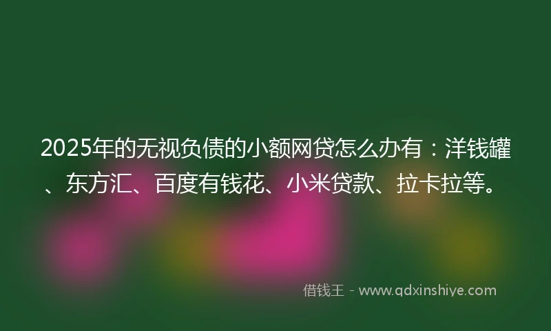 2025年的无视负债的小额网贷怎么办有：洋钱罐、东方汇、百度有钱花、小米贷款、拉卡拉等。