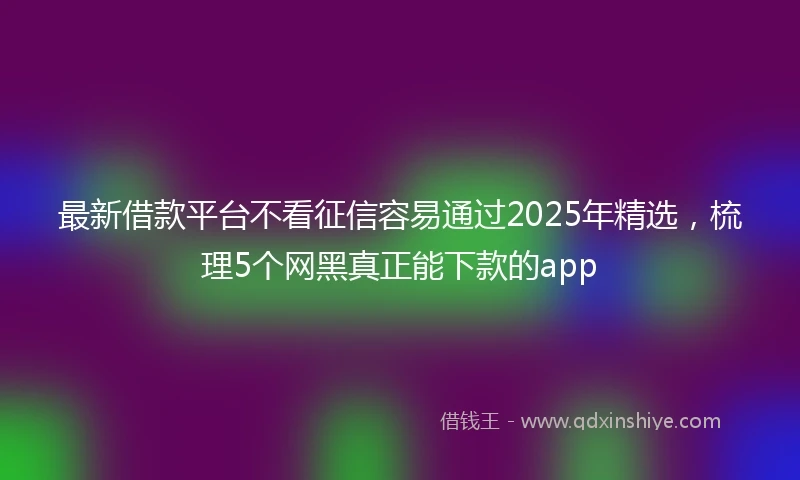 最新借款平台不看征信容易通过2025年精选，梳理5个网黑真正能下款的app