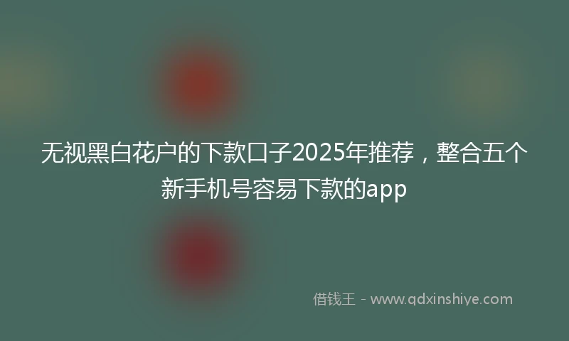 无视黑白花户的下款口子2025年推荐，整合五个新手机号容易下款的app