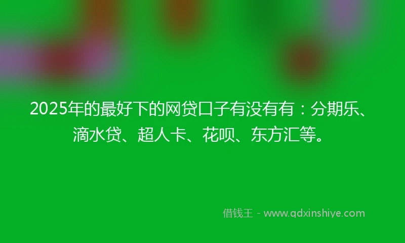 2025年的最好下的网贷口子有没有有：分期乐、滴水贷、超人卡、花呗、东方汇等。