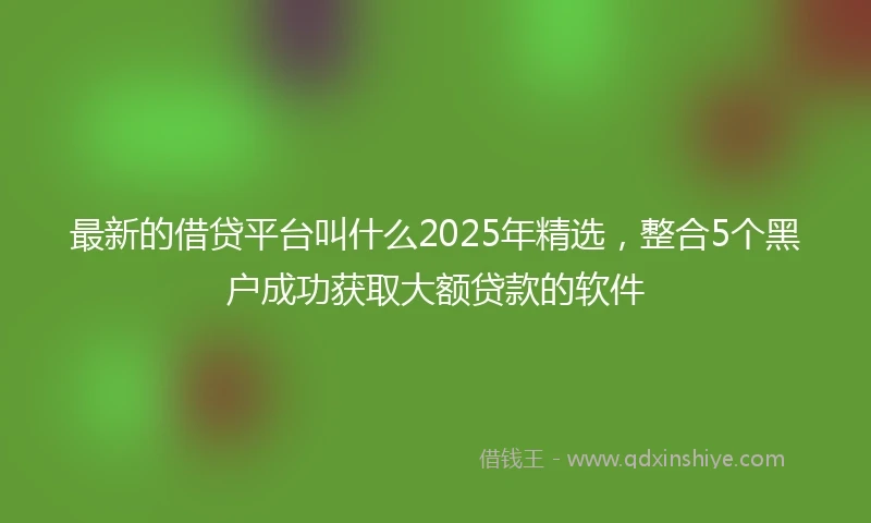 最新的借贷平台叫什么2025年精选，整合5个黑户成功获取大额贷款的软件