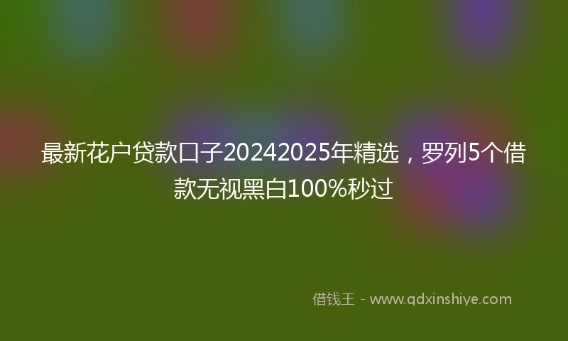 最新花户贷款口子20242025年精选，罗列5个借款无视黑白100%秒过