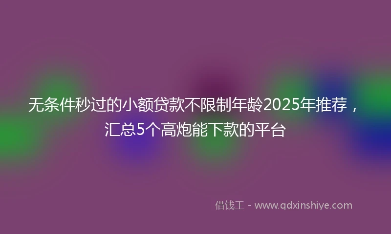 无条件秒过的小额贷款不限制年龄2025年推荐，汇总5个高炮能下款的平台