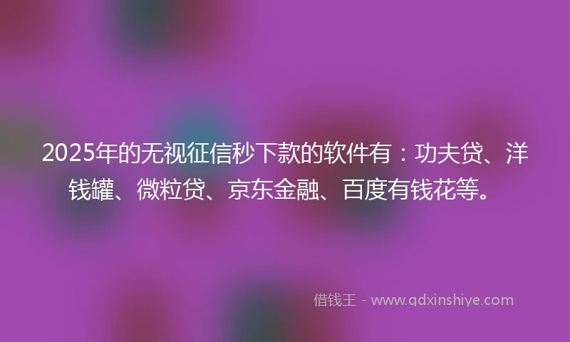 2025年的无视征信秒下款的软件有：功夫贷、洋钱罐、微粒贷、京东金融、百度有钱花等。