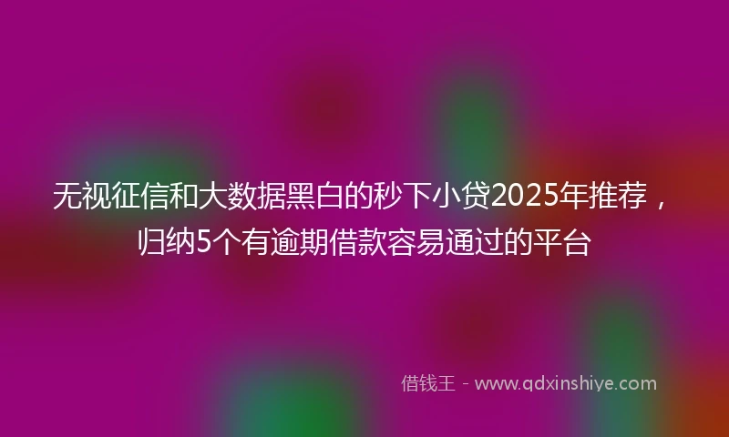 无视征信和大数据黑白的秒下小贷2025年推荐，归纳5个有逾期借款容易通过的平台
