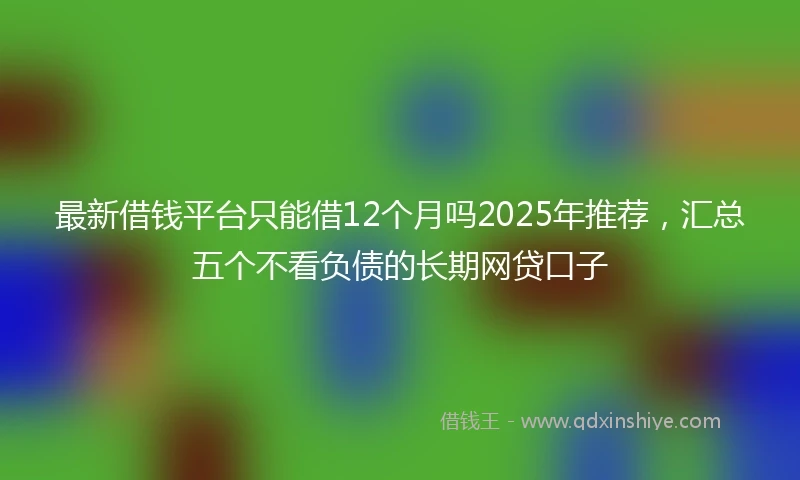 最新借钱平台只能借12个月吗2025年推荐，汇总五个不看负债的长期网贷口子