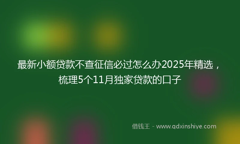 最新小额贷款不查征信必过怎么办2025年精选，梳理5个11月独家贷款的口子
