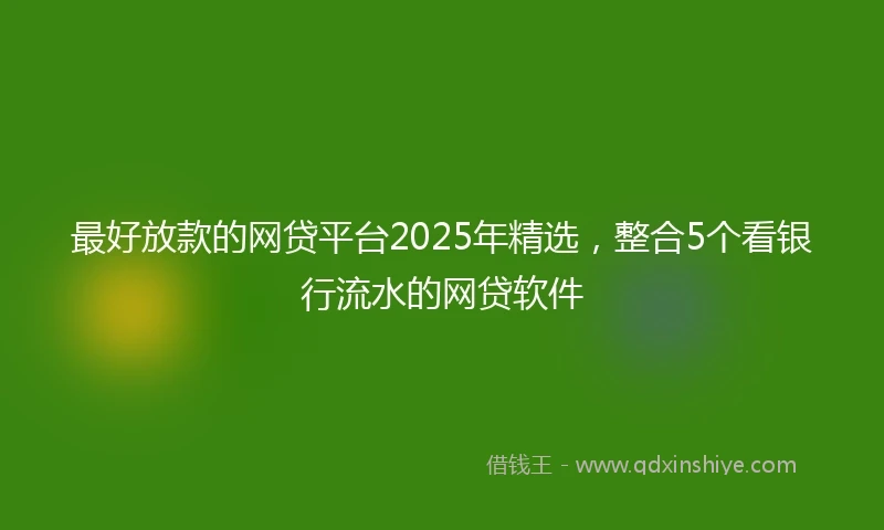 最好放款的网贷平台2025年精选，整合5个看银行流水的网贷软件