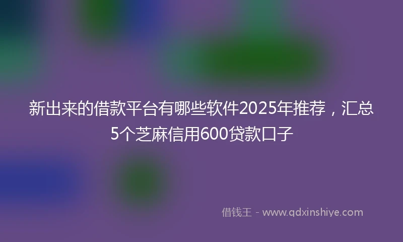 新出来的借款平台有哪些软件2025年推荐，汇总5个芝麻信用600贷款口子