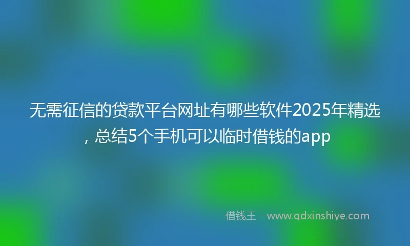 无需征信的贷款平台网址有哪些软件2025年精选，总结5个手机可以临时借钱的app
