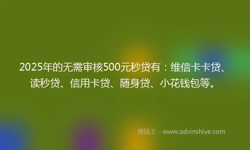 2025年的无需审核500元秒贷有：维信卡卡贷、读秒贷、信用卡贷、随身贷、小花钱包等。
