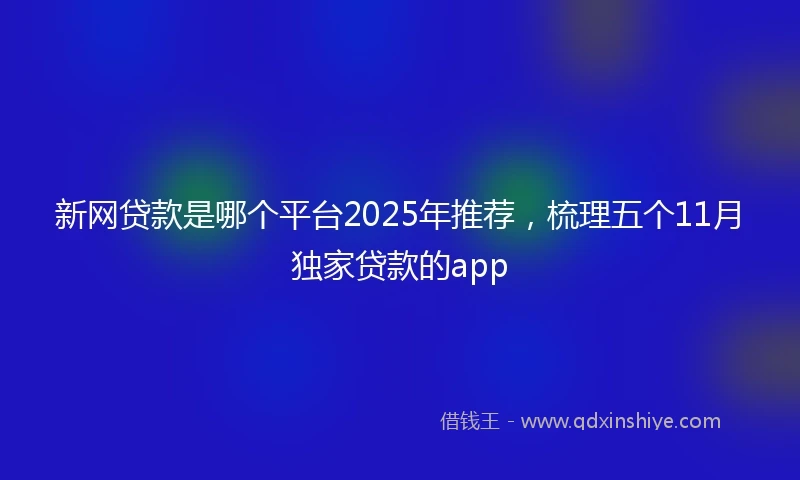 新网贷款是哪个平台2025年推荐，梳理五个11月独家贷款的app