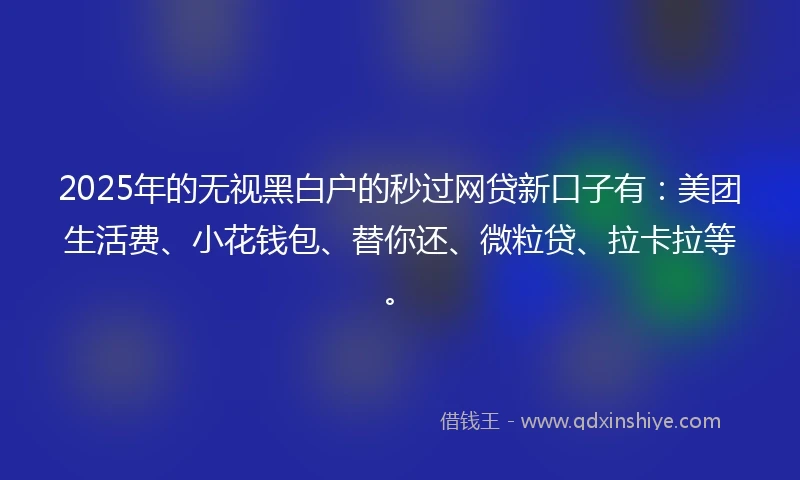 2025年的无视黑白户的秒过网贷新口子有：美团生活费、小花钱包、替你还、微粒贷、拉卡拉等。