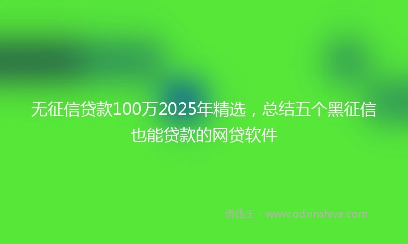 无征信贷款100万2025年精选,总结五个黑征信也能贷款的网贷软件