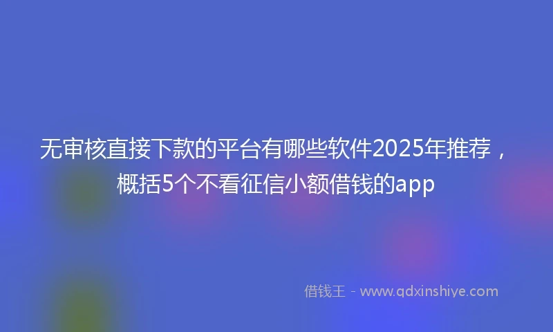 无审核直接下款的平台有哪些软件2025年推荐，概括5个不看征信小额借钱的app
