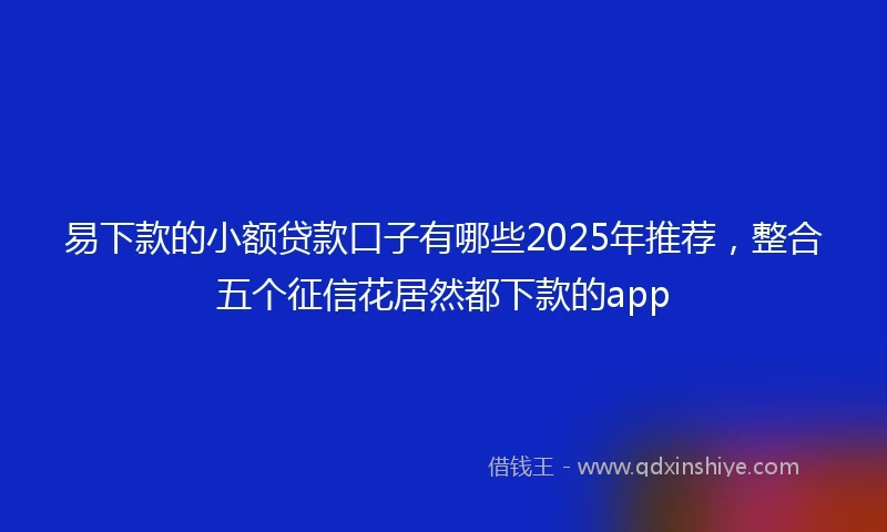 易下款的小额贷款口子有哪些2025年推荐，整合五个征信花居然都下款的app