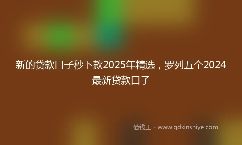 新的贷款口子秒下款2025年精选，罗列五个2024最新贷款口子