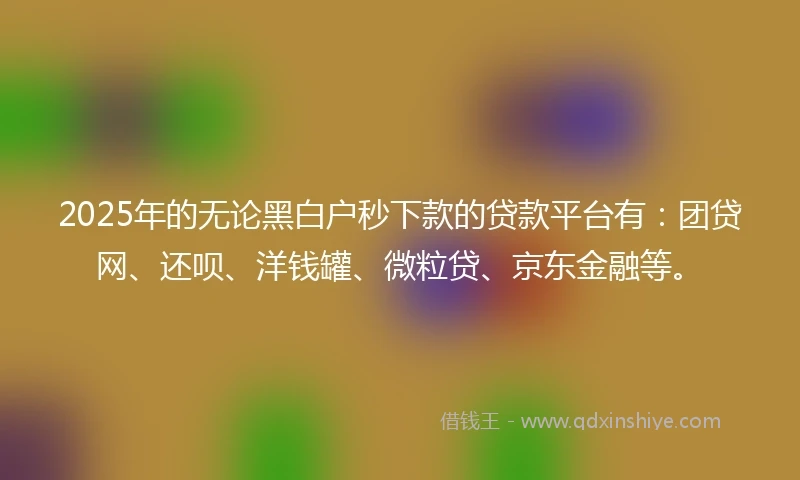 2025年的无论黑白户秒下款的贷款平台有：团贷网、还呗、洋钱罐、微粒贷、京东金融等。
