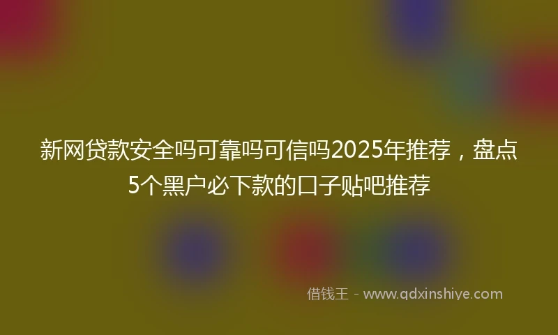 新网贷款安全吗可靠吗可信吗2025年推荐，盘点5个黑户必下款的口子贴吧推荐